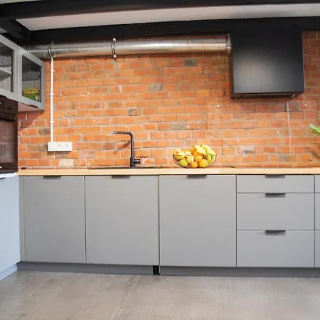 Redcity Loft 309 Apartmán Zyrardow