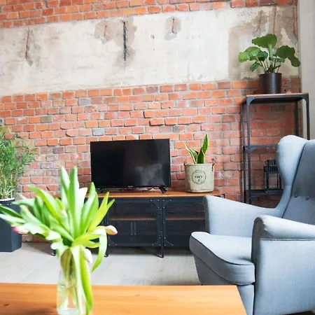 Redcity Loft 309 Apartment Zyrardow