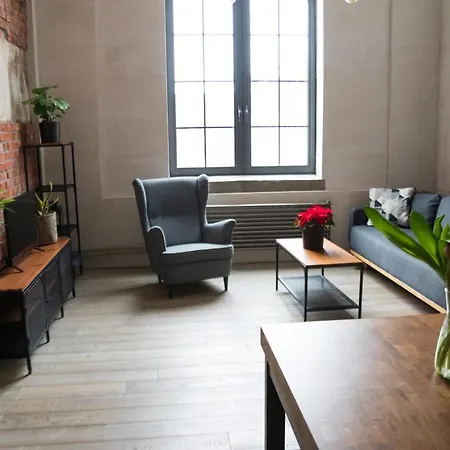 Redcity Loft 309