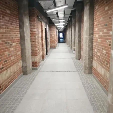 Redcity Loft 309 Apartmán Zyrardow