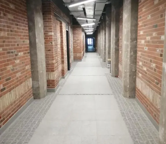 Redcity Loft 309 Appartement Zyrardow